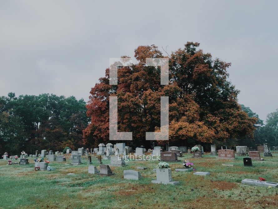 cemetery in fall 