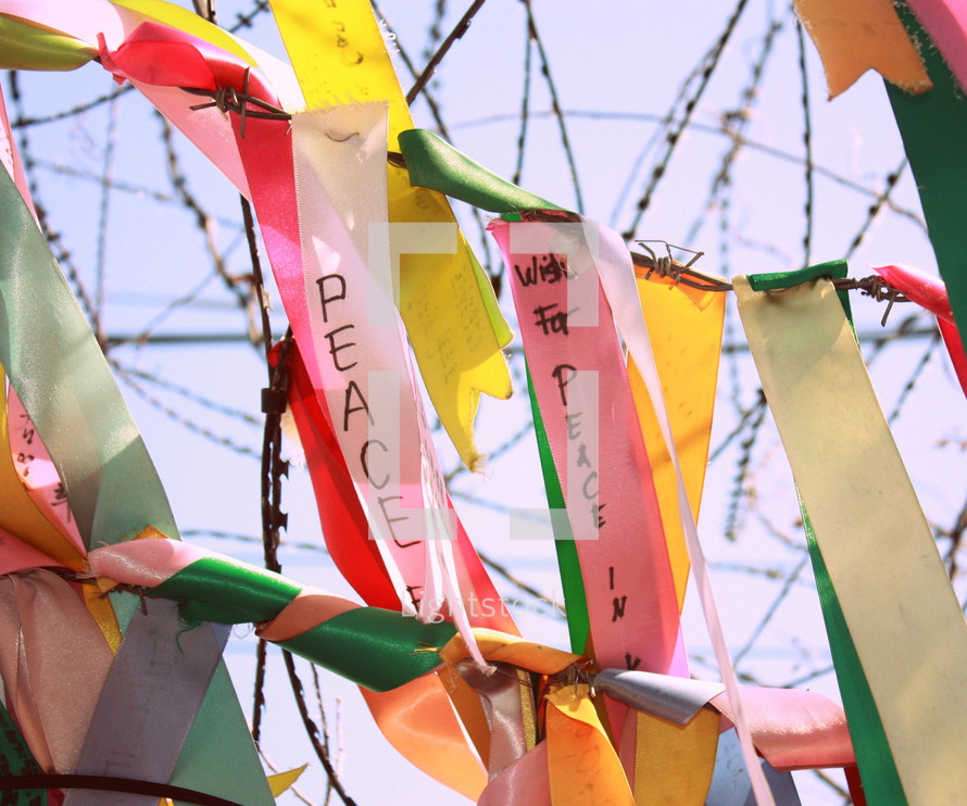 Wishes for peace attached to barbed wire at the Demilitarized Zone between North and South Korea.