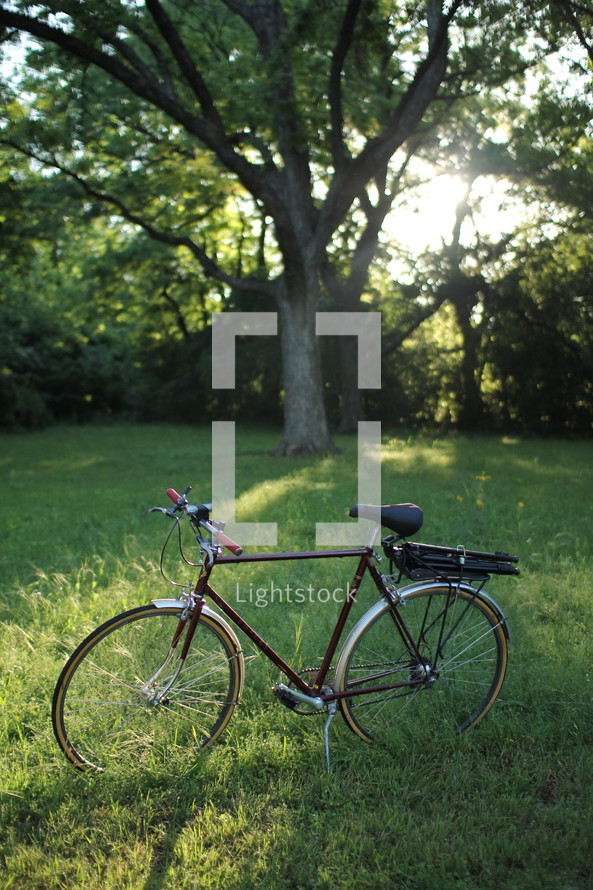 bicycle in a field of green grass 