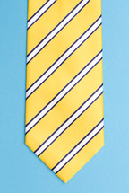striped neck-tie 