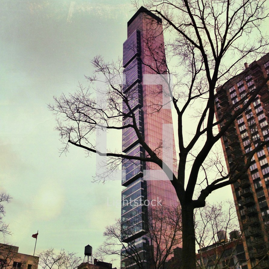 Silhouette of trees surrounded by tall buildings.