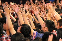 hands raised in group worship 