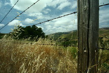 Barbwire fence in field