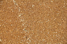 Closeup of Wheat Grain in a Silo