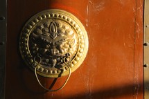a brass dragon door knob