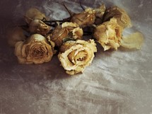 dried roses with a distressed surface effect