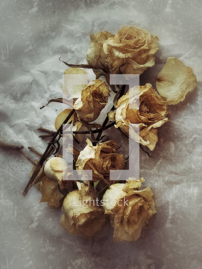 dried roses with distressed effect
