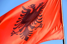 Albanian double-headecd eagle on a red flag 