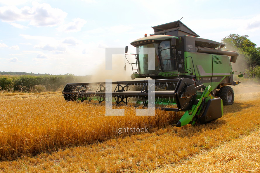 Harvesting wheat on a farm using a combine harvester