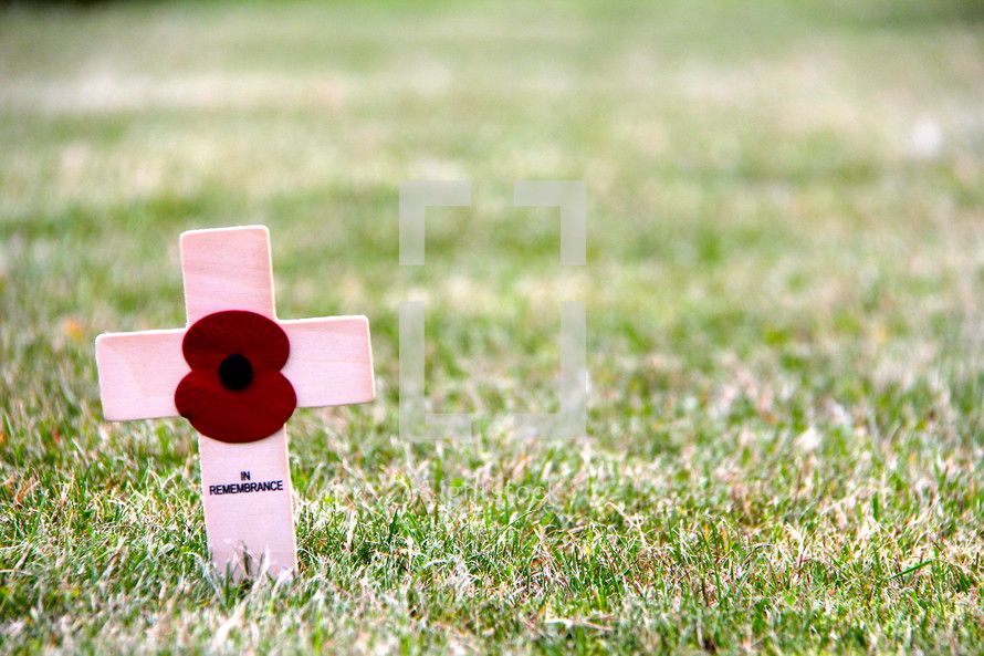 Remembrance cross and red poppy from the fields of Flanders, France, site of World War 1 battles