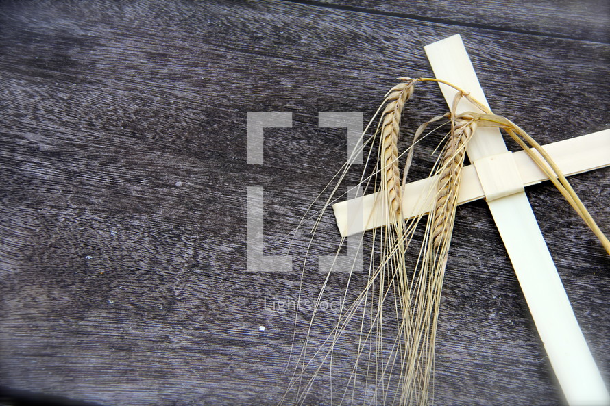 Stalks of wheat and Palm Sunday Cross on an old wooden bench