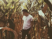 man standing in a corn field 