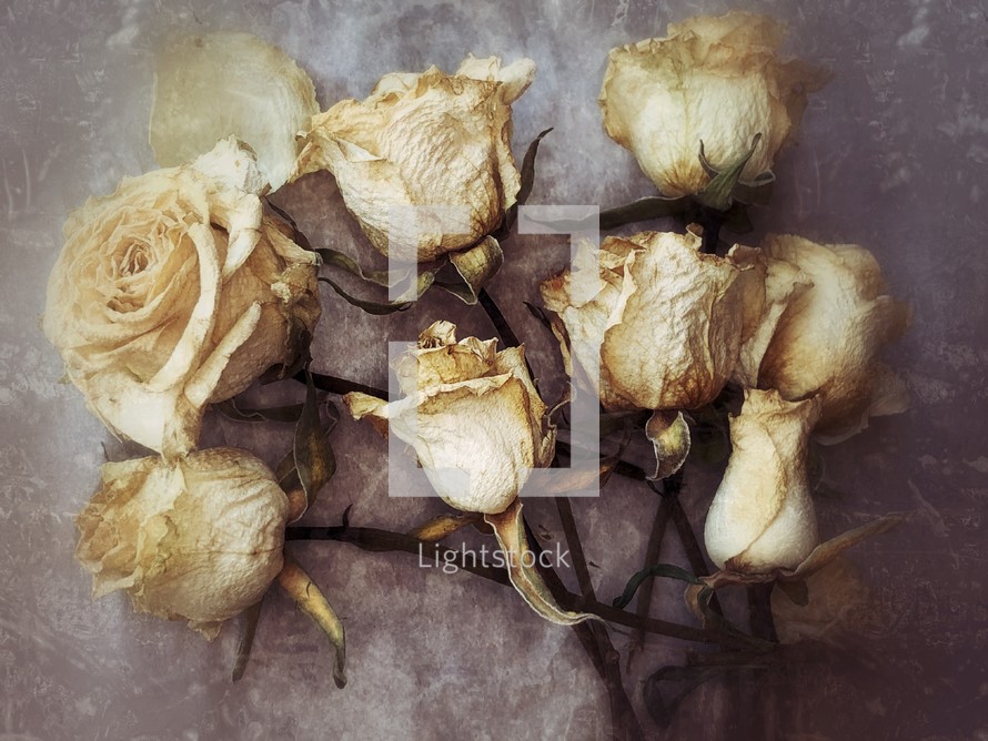 dried roses on a distressed surface