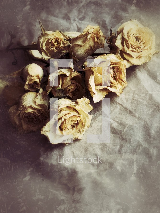 dried roses with a distressed effect