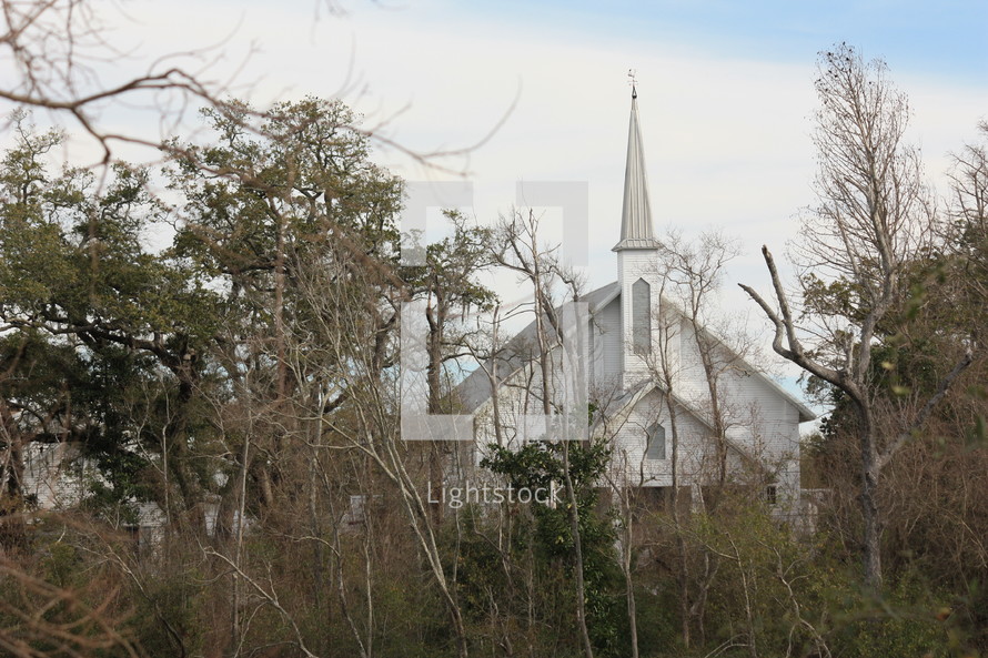 Church with a steeple through the trees.