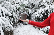 a woman holding a tiny Christmas tree 
