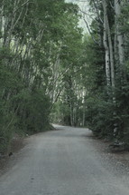 rural gravel road 