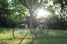 bike at a park 