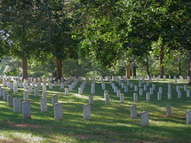 Cemetery with trees.