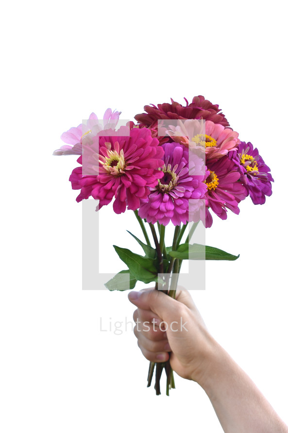 a bouquet of flowers 
