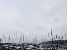 crowded boats in a marina 