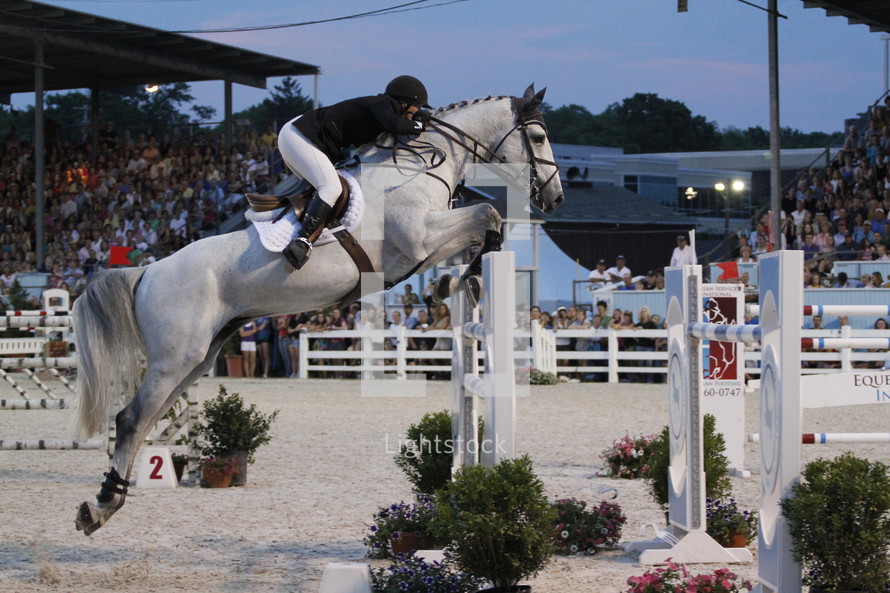 horse jumping in an equestrian show 