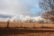frost and ice on trees and a plowed field 