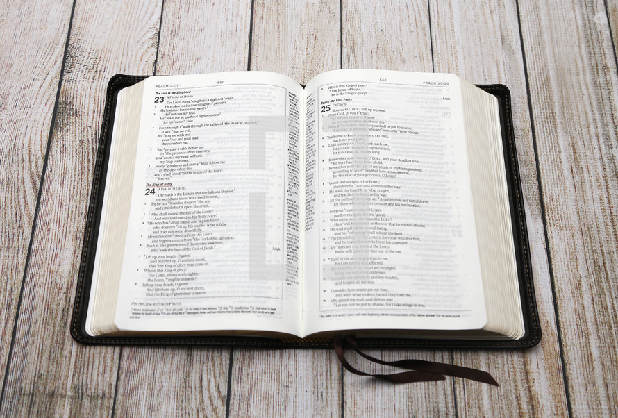 open Bible on weathered wood boards 