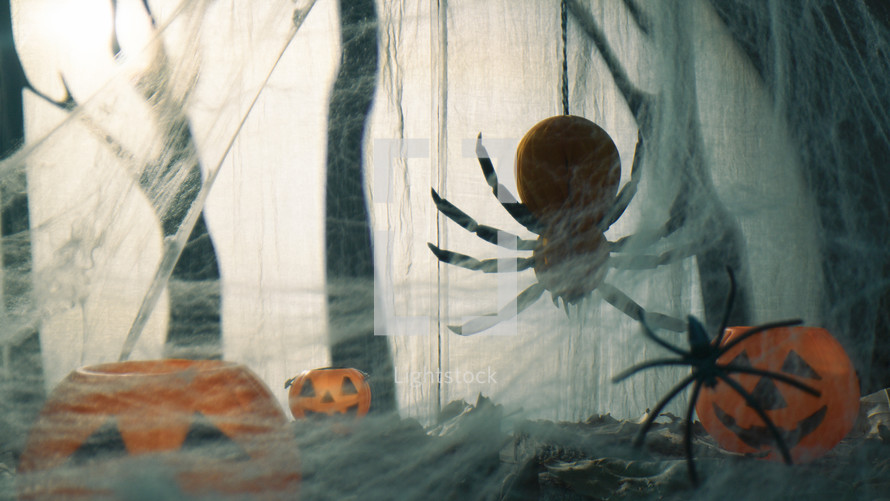 Big Scary Spider Going Down For Halloween Holiday