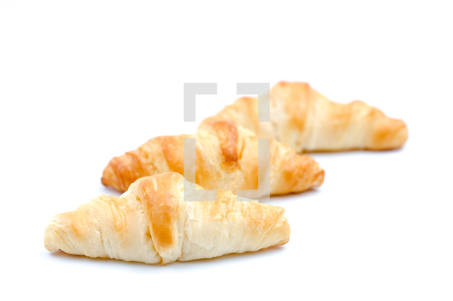 bread rolls 