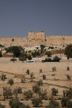 walls in Jerusalem 