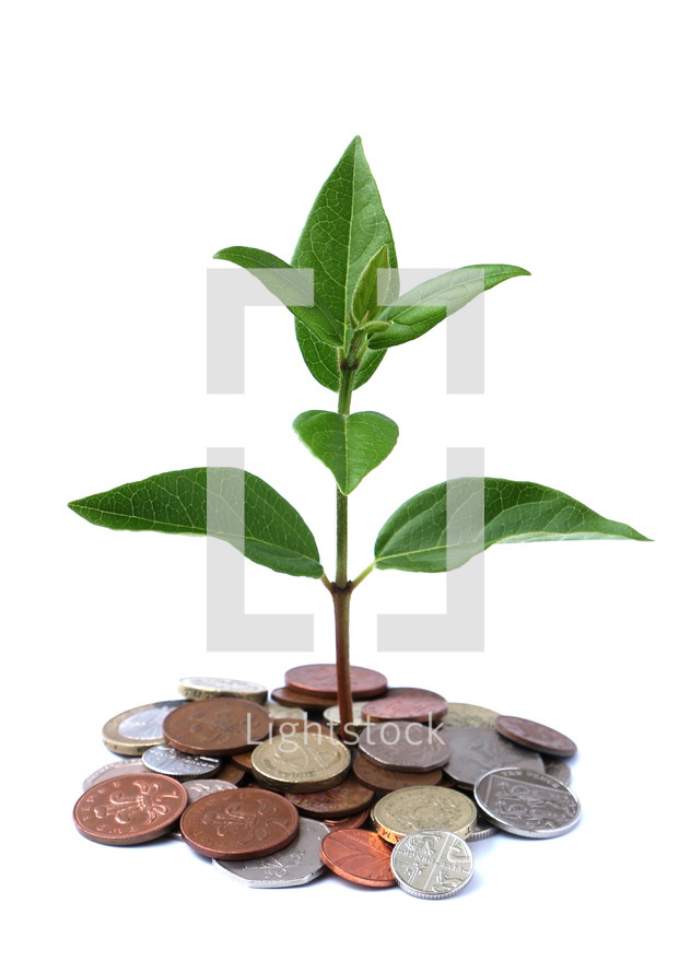 new life sprouting from money 