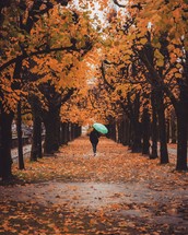 a woman with an umbrella walking under fall trees 