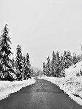 plowed road through a winter forest 