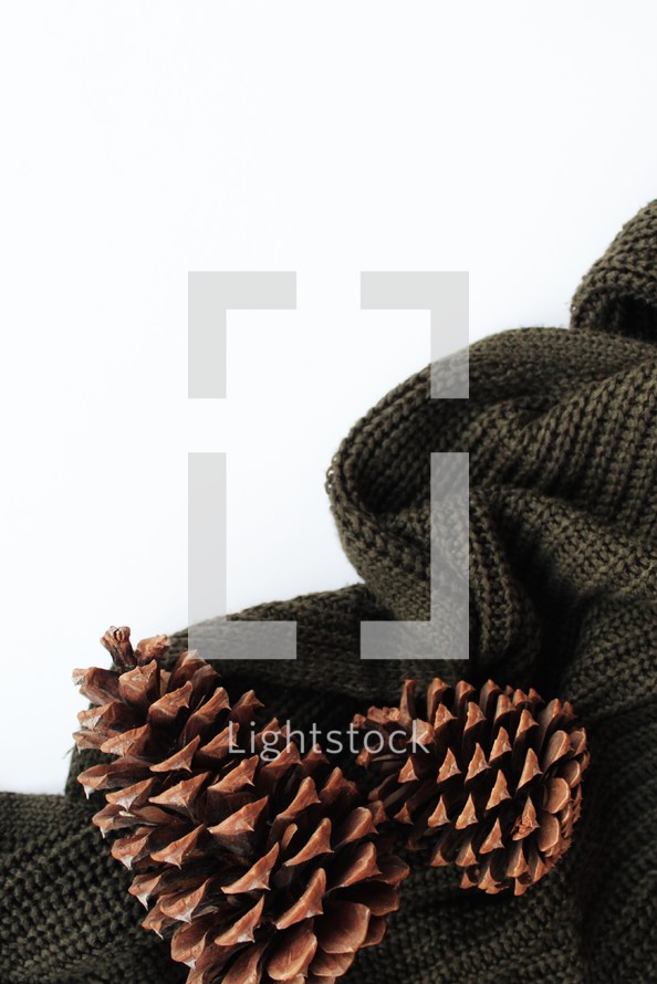 pine cones and knit scarf 