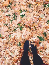 feet standing in fall leaves on the ground 