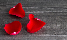 red rose petals on wood background 