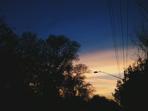street light and power lines and trees at dusk 