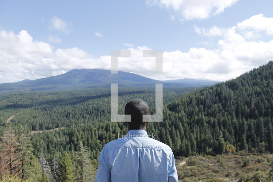 Back of a man on a hillside looking into a valley of trees.