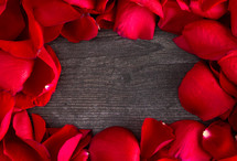 red rose petals on wood background 