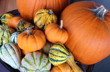 pile of pumpkins and gourds 