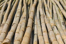 Bamboo sections