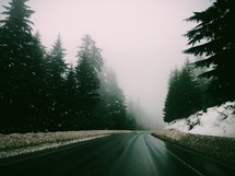 snow falling on a wet road 