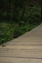 Wooden bridge through forest