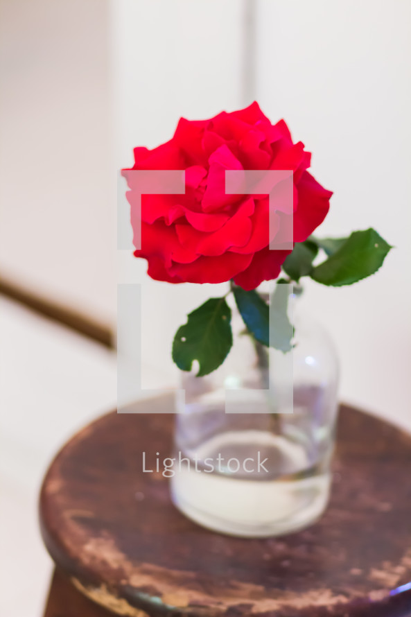 single red rose in a vase on a stool 