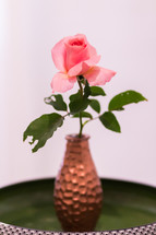 single pink rose in a vase 