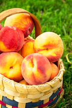 basket of peaches 