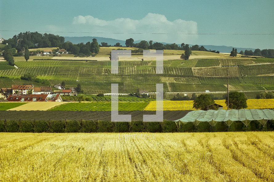 farmland in Switzerland 