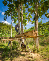 men constructing a building in the trees on an island 