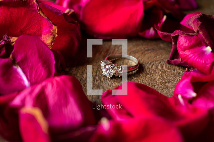 diamond ring and rose petals 